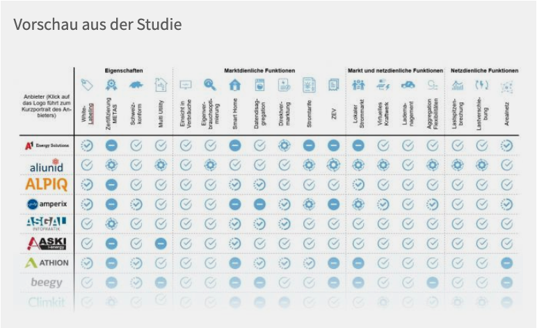 Marktübersicht Energiemanagmentsysteme von Energie Zukunft Schweiz