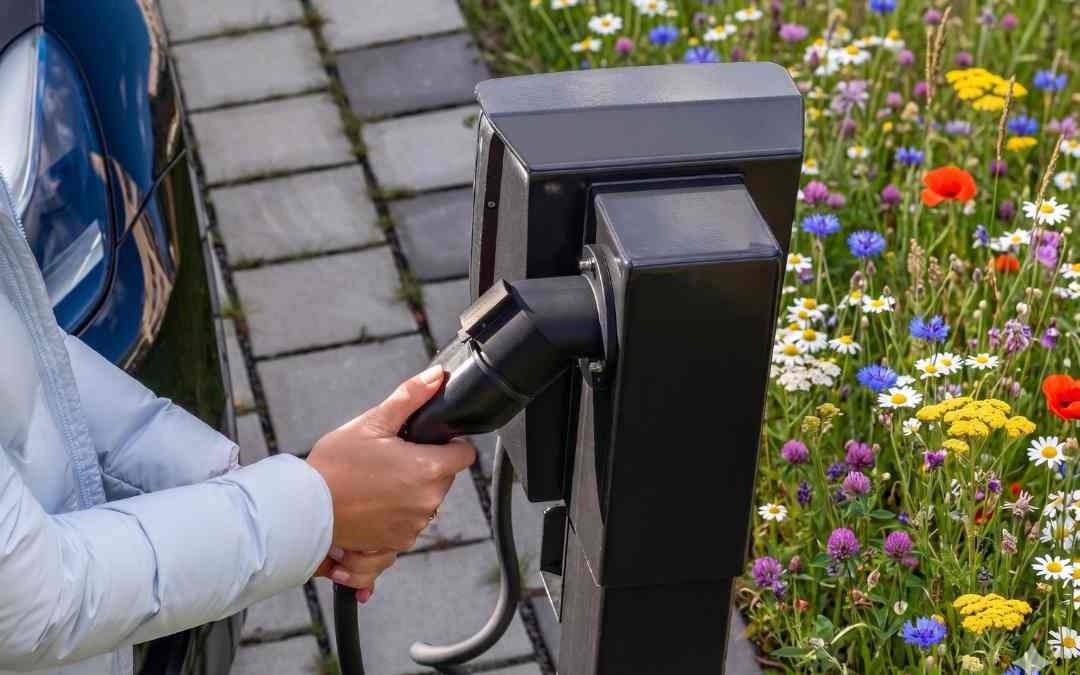 Pico Ladestation draussen