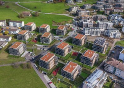 Pionier der Energiewende